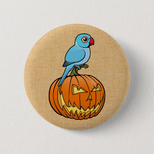 Macaron Rond 5 Cm Blue Indian Ringneck sur citrouille Halloween