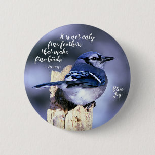 Macaron Rond 5 Cm Blue Jay sur la publication de la photo nature de 