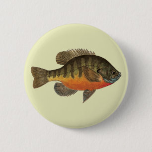 Macaron Rond 5 Cm Bluegill Bream