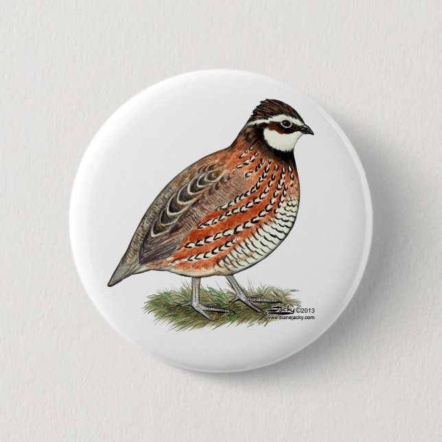 Macaron Rond 5 Cm Bobwhite Quail (Devant)
