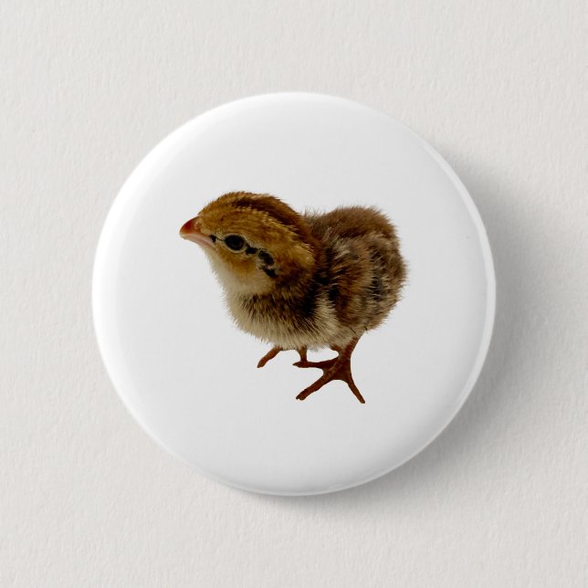 Macaron Rond 5 Cm Bobwhite Quail Chick (Devant)