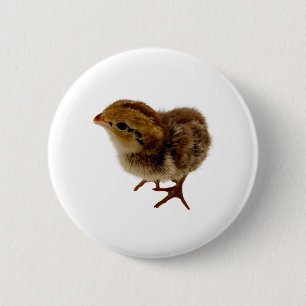 Macaron Rond 5 Cm Bobwhite Quail Chick