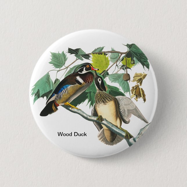 Macaron Rond 5 Cm Bois de canard par John James Audubon, Birdwatcher (Devant)