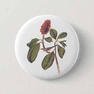 Macaron Rond 5 Cm Bonaparte Moucherolle Canada Paruline Audubon Oise