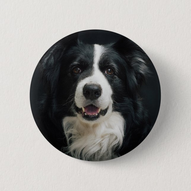 Macaron Rond 5 Cm border collie (Devant)