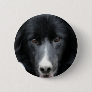 Macaron Rond 5 Cm Border collie noir font face au bouton de chien