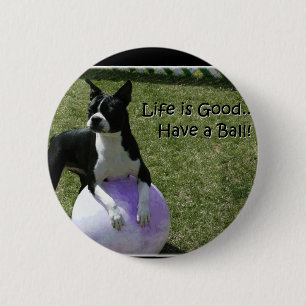 Macaron Rond 5 Cm Boston Terrier :  Ayez une boule !