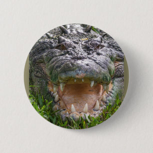 Macaron Rond 5 Cm Bouche de crocodile d'eau salée sauvage ouverte