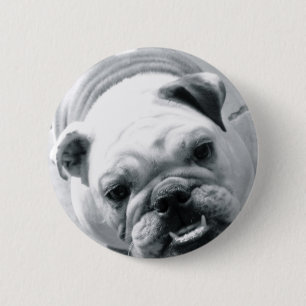 Macaron Rond 5 Cm Bouledogue anglais
