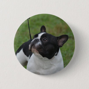 Macaron Rond 5 Cm Bouledogue français noir et blanc