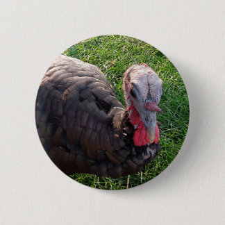 Macaron Rond 5 Cm Bouton 1 d'acres de Wedrose