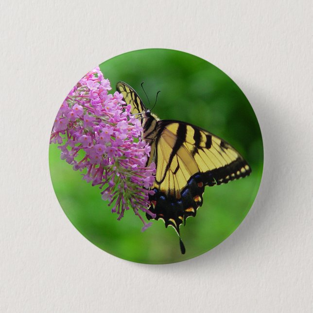 Macaron Rond 5 Cm Bouton 3 de papillon de machaon (Devant)