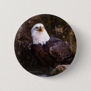 Macaron Rond 5 Cm Bouton Aigle