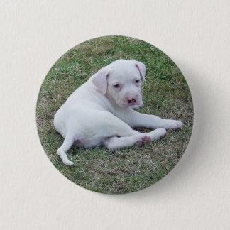 Macaron Rond 5 Cm Bouton américain de chiot de bouledogue
