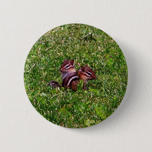 Macaron Rond 5 Cm Bouton animal de première journée Chipmunks