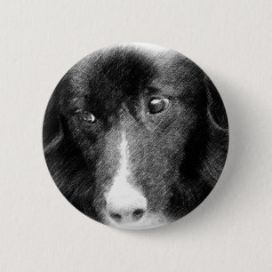 Macaron Rond 5 Cm Bouton animal noir d'art de border collie