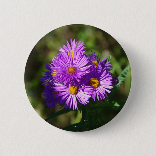 Macaron Rond 5 Cm Bouton Aster (Devant)