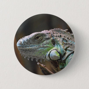 Macaron Rond 5 Cm Bouton avec tête de lézard Iguana coloré