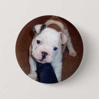 Macaron Rond 5 Cm Bouton beau de Pinback de bouledogue