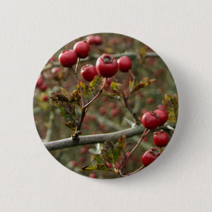 Macaron Rond 5 Cm Bouton Berries