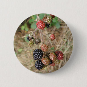 Macaron Rond 5 Cm Bouton Blackberry Bonanza