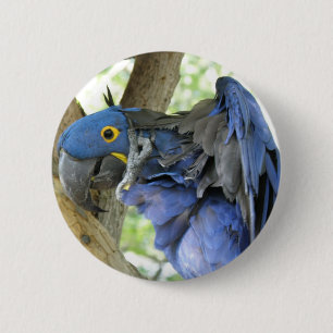 Macaron Rond 5 Cm Bouton bleu d'ara