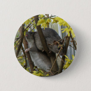Macaron Rond 5 Cm Bouton Boucles ratés