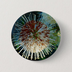 Macaron Rond 5 Cm Bouton Bush