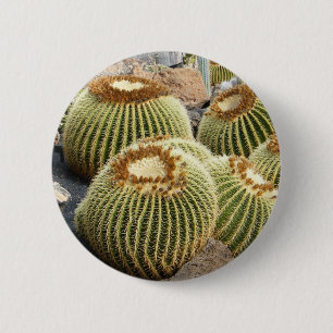 Macaron Rond 5 Cm Bouton Cactus