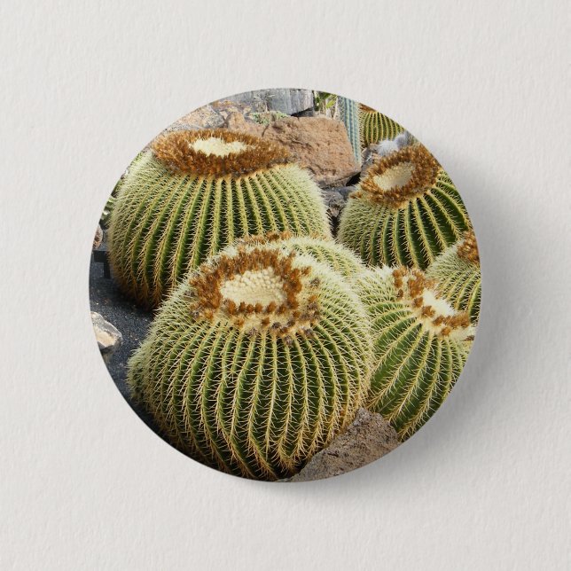 Macaron Rond 5 Cm Bouton Cactus (Devant)