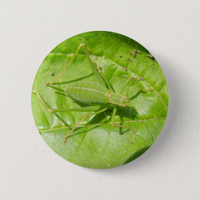Macaron Rond 5 Cm Bouton Camouflage de cricket vert (Devant)