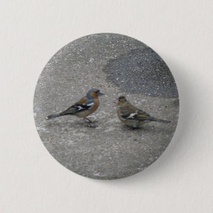 Macaron Rond 5 Cm Bouton "Chaffinch Me nourrir"