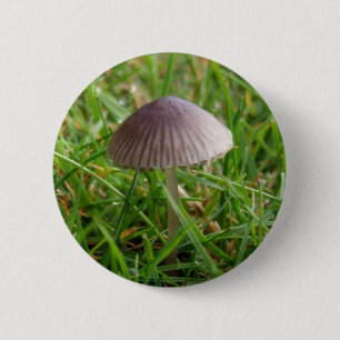 Macaron Rond 5 Cm Bouton Champignons