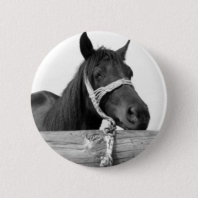 Macaron Rond 5 Cm Bouton Cheval (Devant)