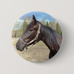 Macaron Rond 5 Cm Bouton Cheval