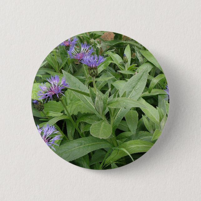 Macaron Rond 5 Cm Bouton Cornflowers (Devant)