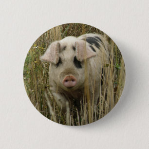 Macaron Rond 5 Cm Bouton Cute Pig