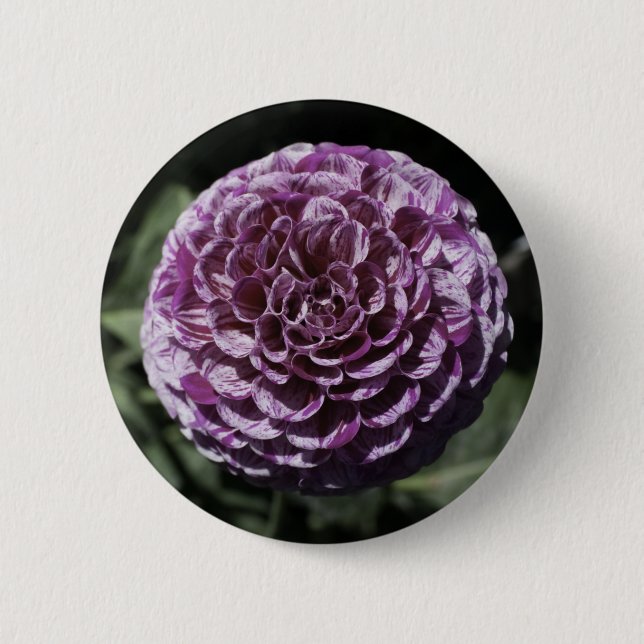 Macaron Rond 5 Cm Bouton Dahlia Varié Violet (Devant)