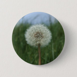 Macaron Rond 5 Cm Bouton Dandelion
