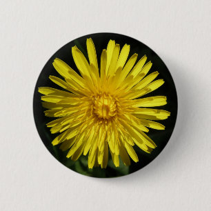 Macaron Rond 5 Cm Bouton Dandelion