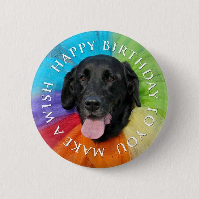 Macaron Rond 5 Cm Bouton d'anniversaire du Black Lab (Devant)