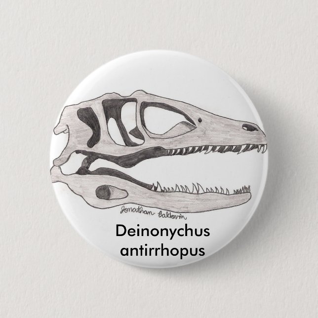 Macaron Rond 5 Cm Bouton d'antirrhopus de Deinonychus (Devant)