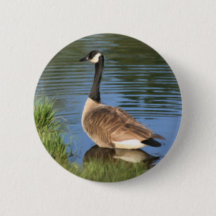 Macaron Rond 5 Cm Bouton d'art animal d'oie du Canada