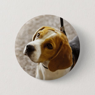 Macaron Rond 5 Cm Bouton de beagle