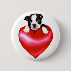 Macaron Rond 5 Cm Bouton de Boston Terrier d'amour