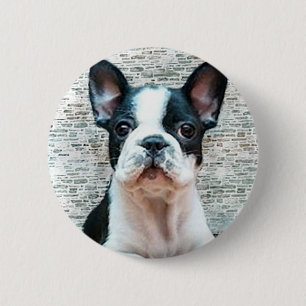 Macaron Rond 5 Cm Bouton de bouledogue français