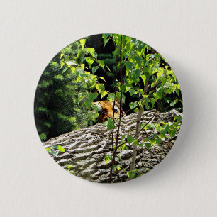 Macaron Rond 5 Cm Bouton de cache-cache de tigre