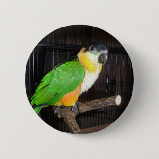 Macaron Rond 5 Cm Bouton de caïque