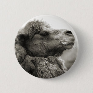 Macaron Rond 5 Cm Bouton de chameau