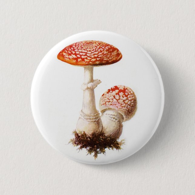 Macaron Rond 5 Cm Bouton de champignon d'amanite (Devant)